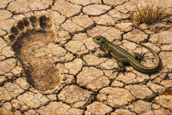 Всё о Воде | H2O и Водных ресурсах мира Главные признаки обезвоживания организма: как распознать и что делать