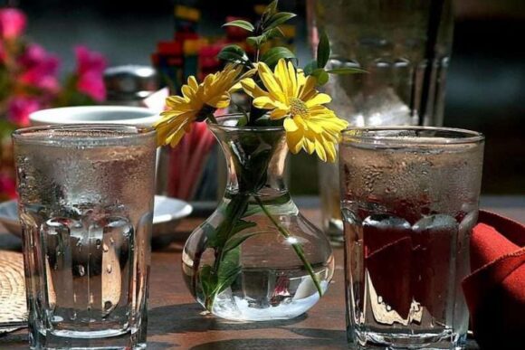 Цветы и холодная вода