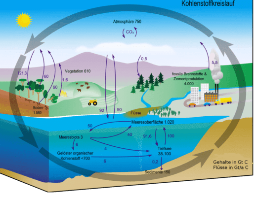 Круговорот воды в природе - виды круговорота и его значение для нашей планеты